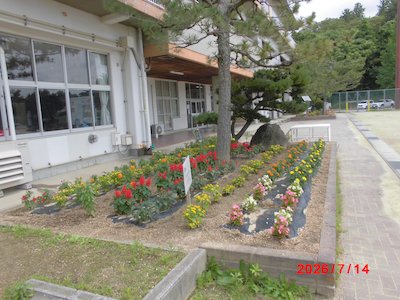 郡山市立守山小学校4