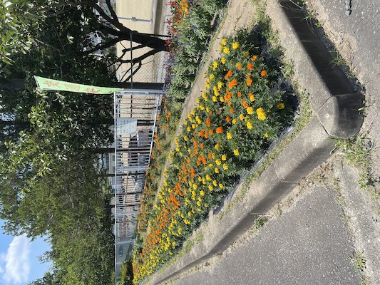 郡山市立谷田川小学校4