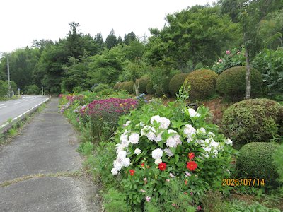姉屋観音花の会1