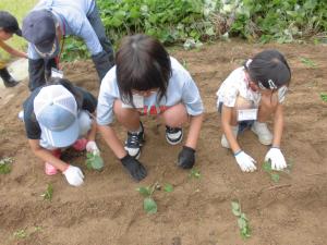 小山田農園