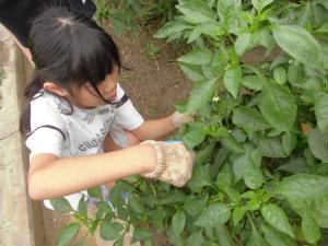 小山田農園