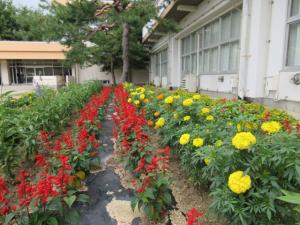 郡山市立守山小学校