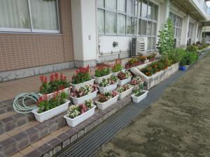 郡山市立小泉小学校