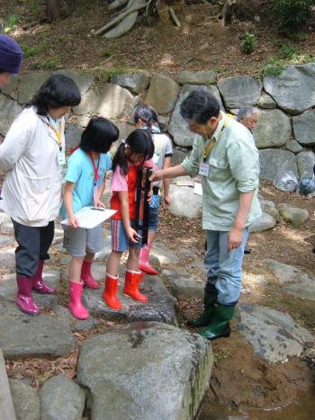 南川で川の水環境を調べる小学生の写真