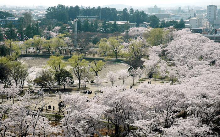 開成山公園の画像