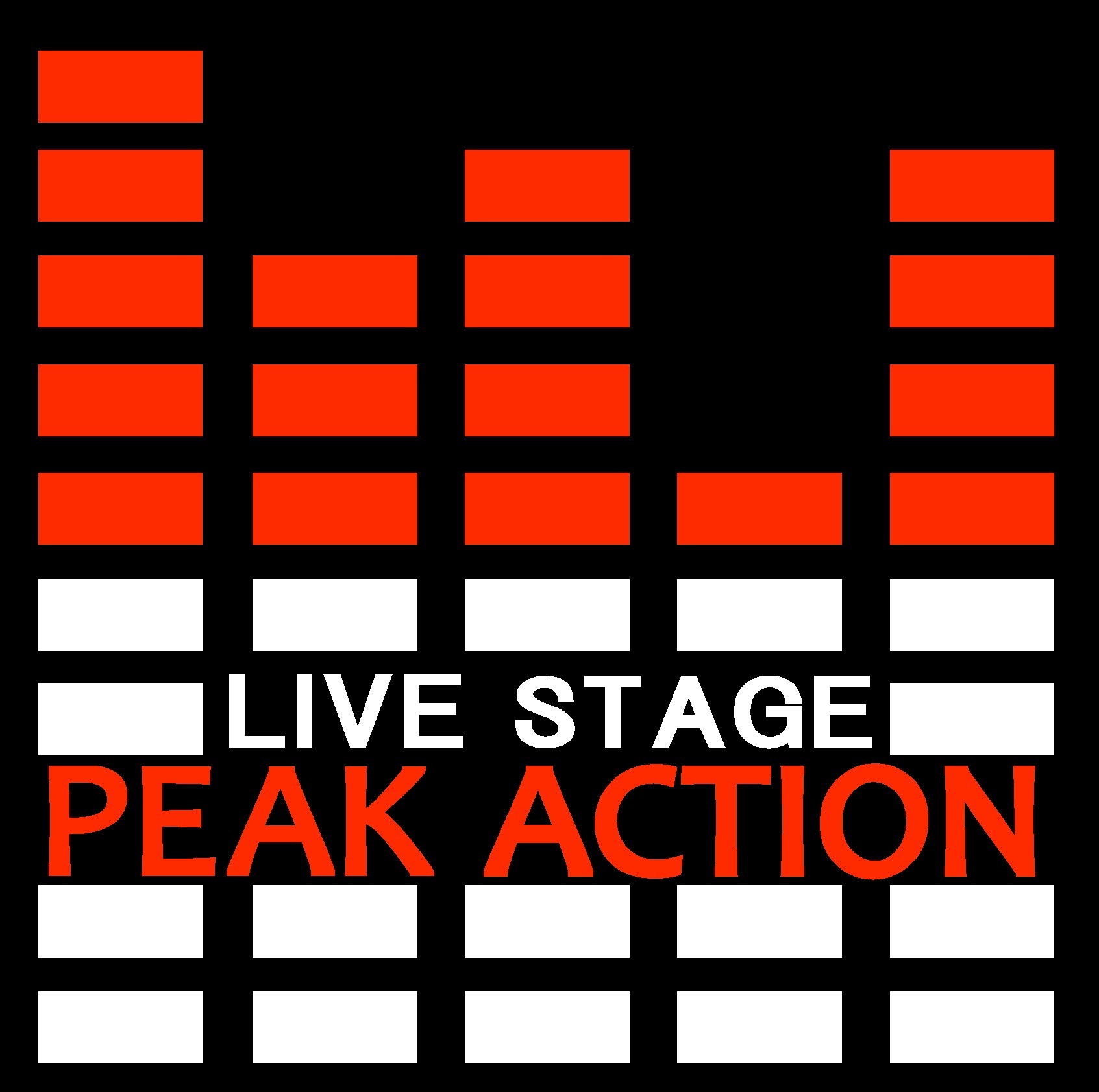 LIVE STAGE PEAK ACTION