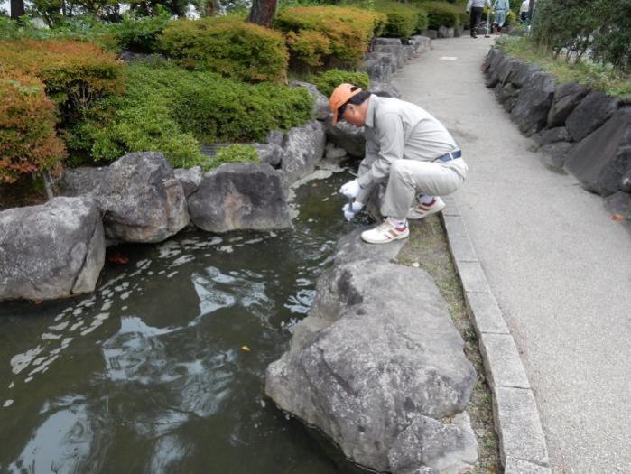 清掃活動の様子の画像4