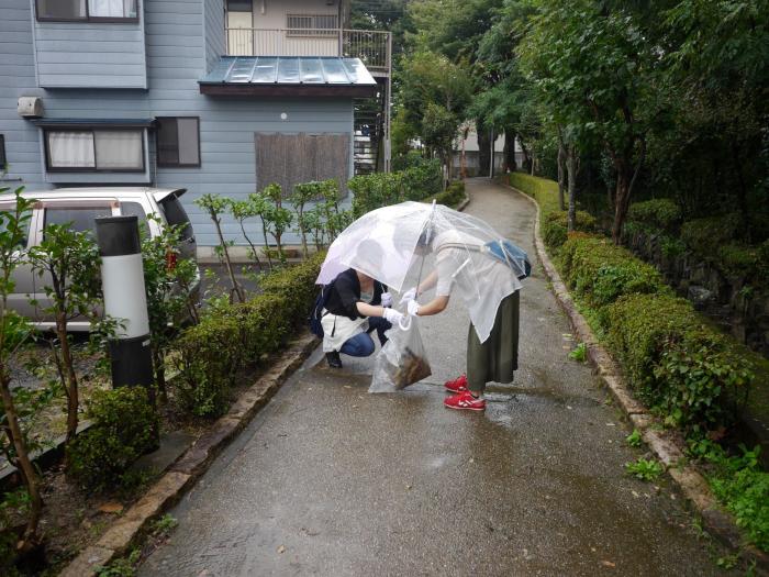 清掃活動の様子の画像11