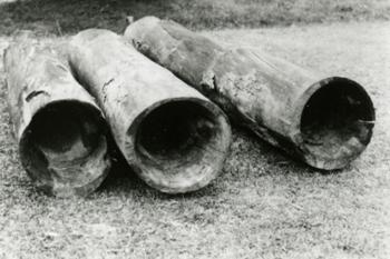 多田野水道木管の写真