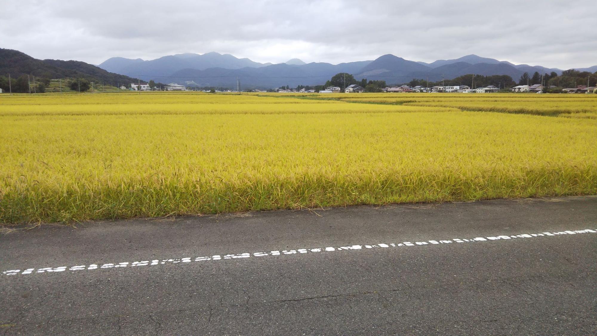 大類日和さん（田村市在住）の画像2