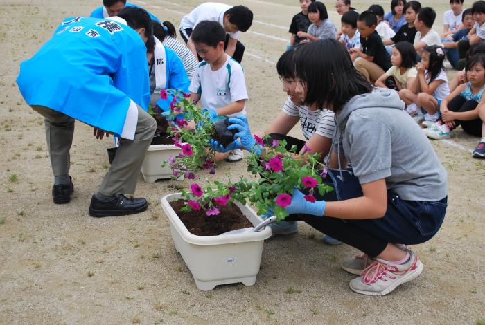 花の苗を植える写真