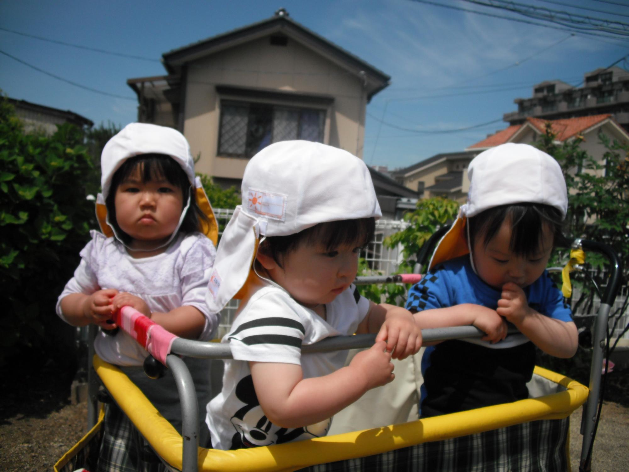 りす組戸外遊びの画像4