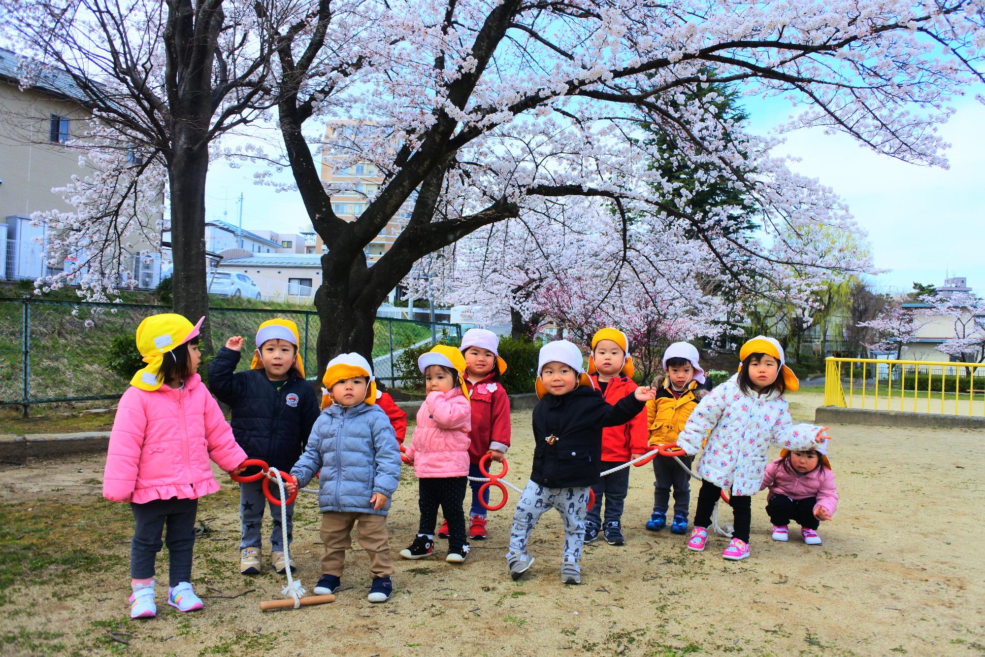 さくら組花見の画像1