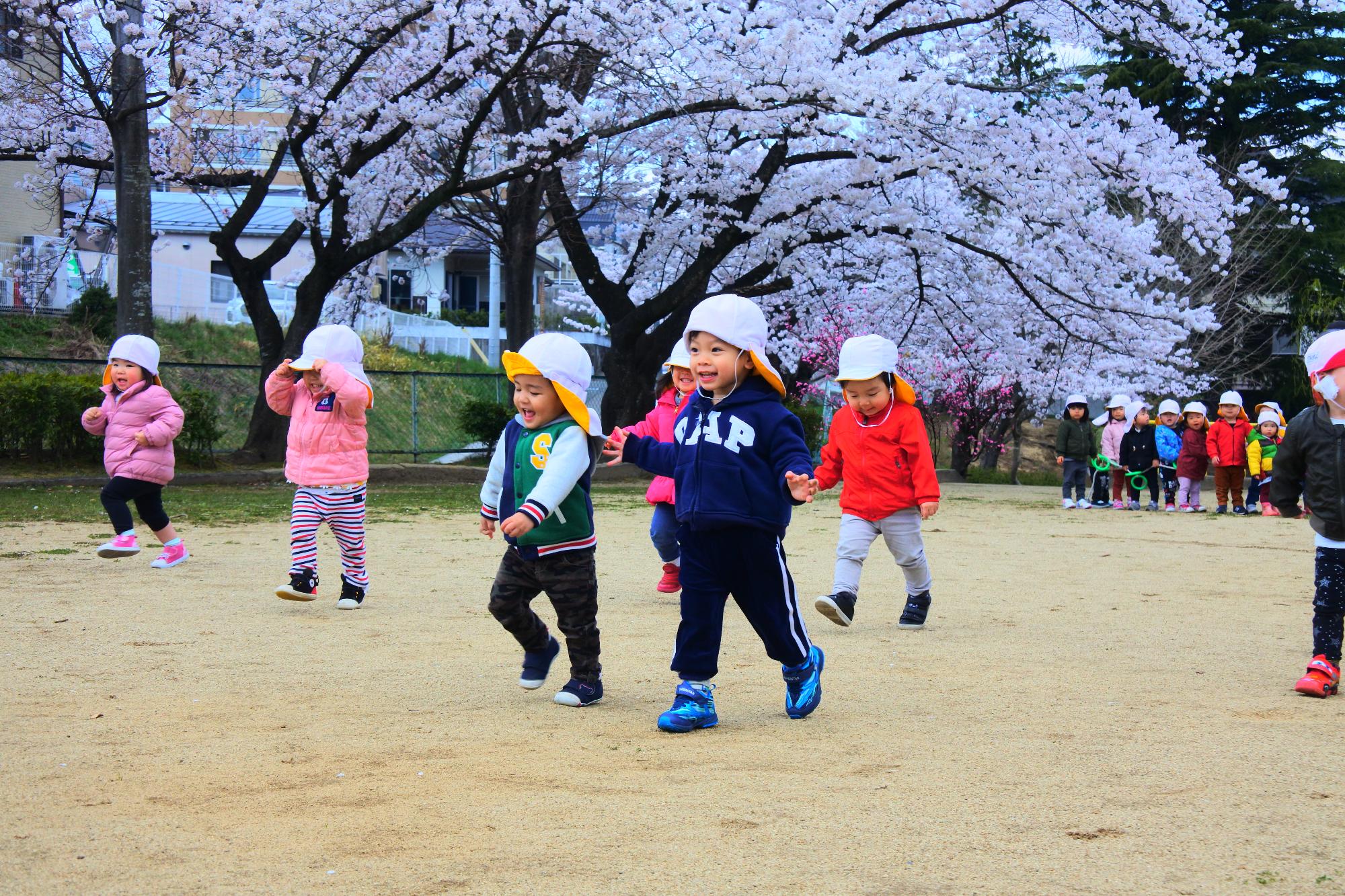 さくら組花見の画像5