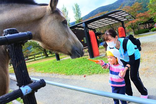 お馬さんにニンジンをあげたよ