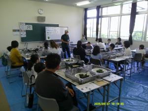 マイスターによる説明