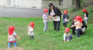 自然の中でどんぐりや栗を探す子どもたち