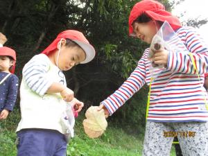 大きな葉っぱをな栗と大きな葉っぱを交換する修了児とうめ組さん