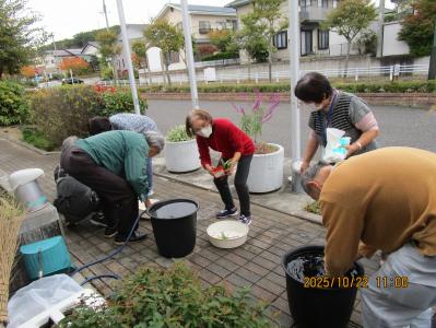 インテリアグリーン