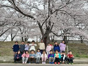 Sakura3