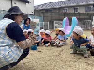 苗植え さくら組1