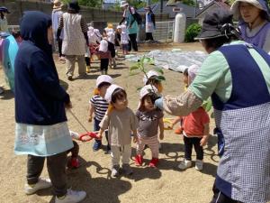 苗植え うさぎ組