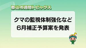 サムネイル_週間トピックス20260614
