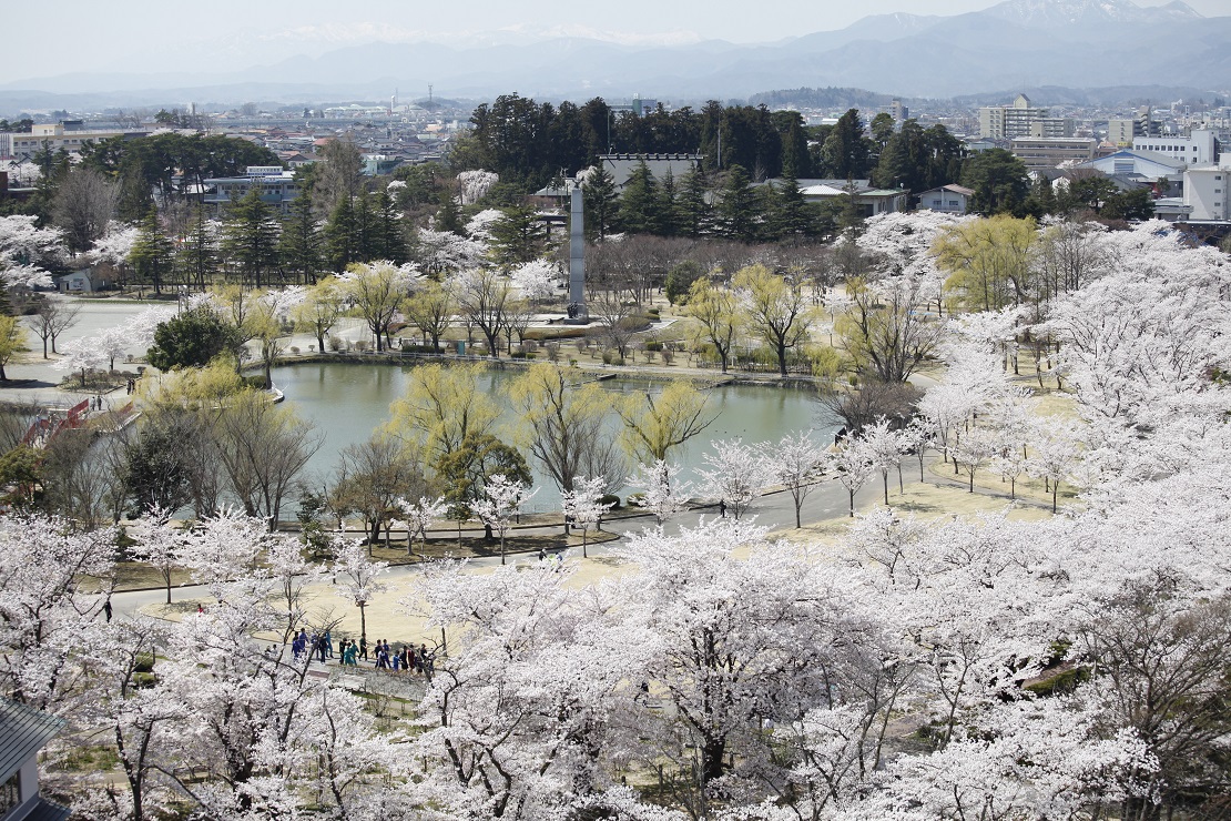 春の開成山公園